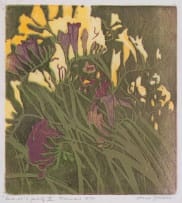 Alice Goldin; Freesias