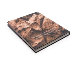 Laura Twiggs (ed); Forces of Nature: The Sculpture of Dylan Lewis