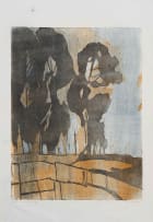Alice Goldin; Treeshapes