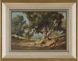 Johannes Oldert; Gumtree at Essexwold