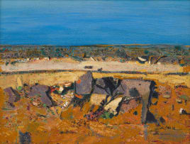 Nico Roos; Landscape