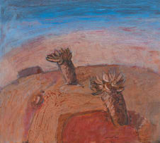 Nico Roos; Aloes