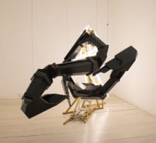 Wim Botha; Time Machine