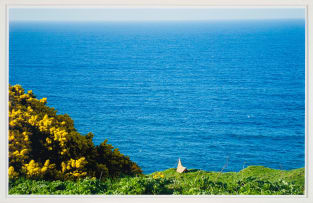 Jacques Coetzer; Weekend Cathedral, twelve