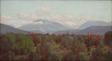 Jan Ernst Abraham Volschenk; Rhinocerobush Veld (Near Riversdale)