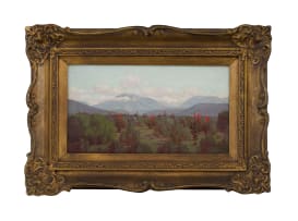 Jan Ernst Abraham Volschenk; Rhinocerobush Veld (Near Riversdale)