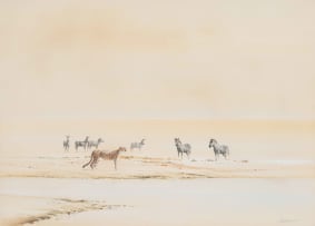 Kim Donaldson; Cheetah and Zebra Herd