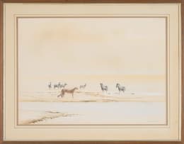 Kim Donaldson; Cheetah and Zebra Herd