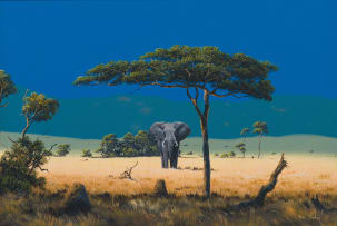 Paul Munro; Elephant in the Bushveld
