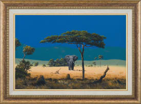 Paul Munro; Elephant in the Bushveld