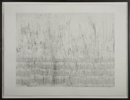 Willem Boshoff; Highveld