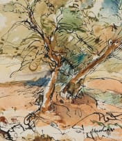Nico Roos; Landscape