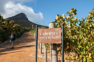 Delaire Graff Estate; Banghoek Cabernet Franc - Cabernet Sauvignon; 2023; 12 (2 x 6); 750ml