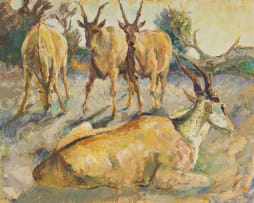Zakkie Eloff; Group of Eland