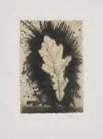 William Kentridge; Leaf, Waiting for the Sybil