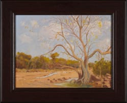 Adriaan Boshoff; Dry River Bed – Turfloop (Polekwane District)