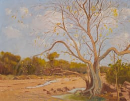 Adriaan Boshoff; Dry River Bed – Turfloop (Polekwane District)