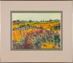 Alice Elahi; Grasses in Dawn Wind, Grunau Namibia