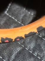 Ardmore Ceramic Studio; Stemmed giraffe and cricket bowl with handles
