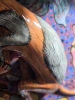 Ardmore Ceramic Studio; Elephant and monkey vase