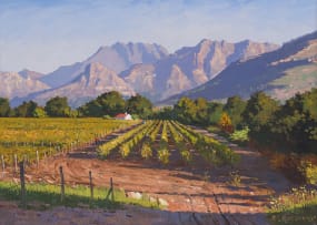 Roelof Rossouw; Vineyard near Franschhoek