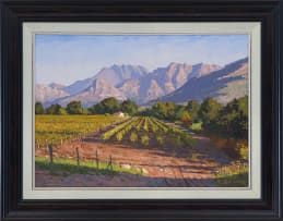 Roelof Rossouw; Vineyard near Franschhoek