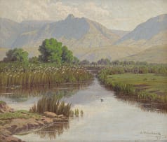 Jan Ernst Abraham Volschenk; The Haunts of the Waterfowl