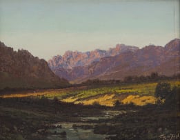 Tinus de Jongh; Near Robertson