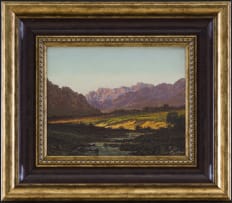 Tinus de Jongh; Near Robertson