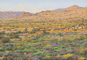 Martin Koch; Namaqualand Scene