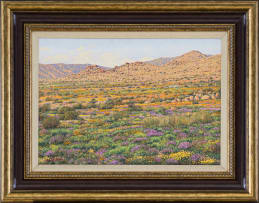 Martin Koch; Namaqualand Scene