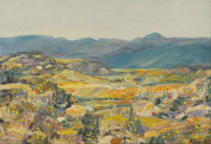 Hugo Naudé; Landscape with Wildflowers and Distant Mountains