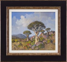 Conrad Theys; Quiver Trees/ Kokerbome, Namaqualand