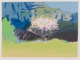 Alice Goldin; Spring below the Mountain