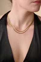 Double link chain