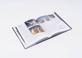 Steve Woodhead; The Teapot Book