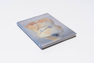 Garth Clark; American Potter: The Work of Twenty Modern Masters