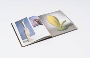 Ian Gregory; Sculptural Ceramics