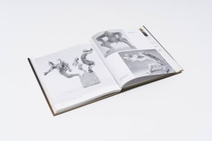 Ian Gregory; Sculptural Ceramics
