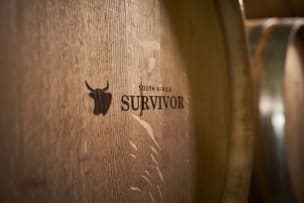 Survivor Wines; CWG Pinotage; 2023; 36 (6 x 6); 750ml