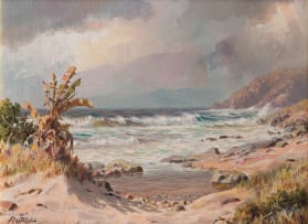 Roy Taylor; Transkei Eastern Cape