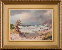 Roy Taylor; Transkei Eastern Cape