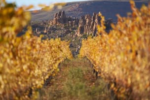 Cederberg; Black Slate Shiraz; 2024; 12 (2 x 6); 750ml