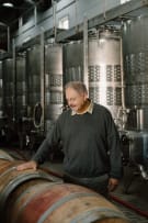Solo Wines by Carl Schultz; CWG Auction Merlot; 2023; 12 (2 x 6); 750ml