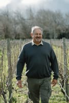 Solo Wines by Carl Schultz; CWG Auction Merlot; 2023; 12 (2 x 6); 750ml