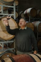 Solo Wines by Carl Schultz; CWG Auction Merlot; 2023; 36 (6 x 6); 750ml