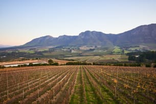 Newton Johnson Family Vineyards; Sandford Chardonnay; 2024; 12 (2 x 6); 750ml