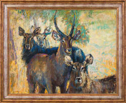 Zakkie Eloff; A Group of Waterbuck