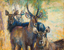 Zakkie Eloff; A Group of Waterbuck
