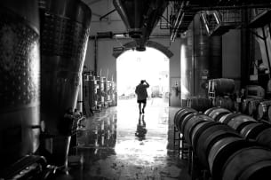De Grendel Wines; Rietfontein Syrah; 2023; 36 (6 x 6); 750ml